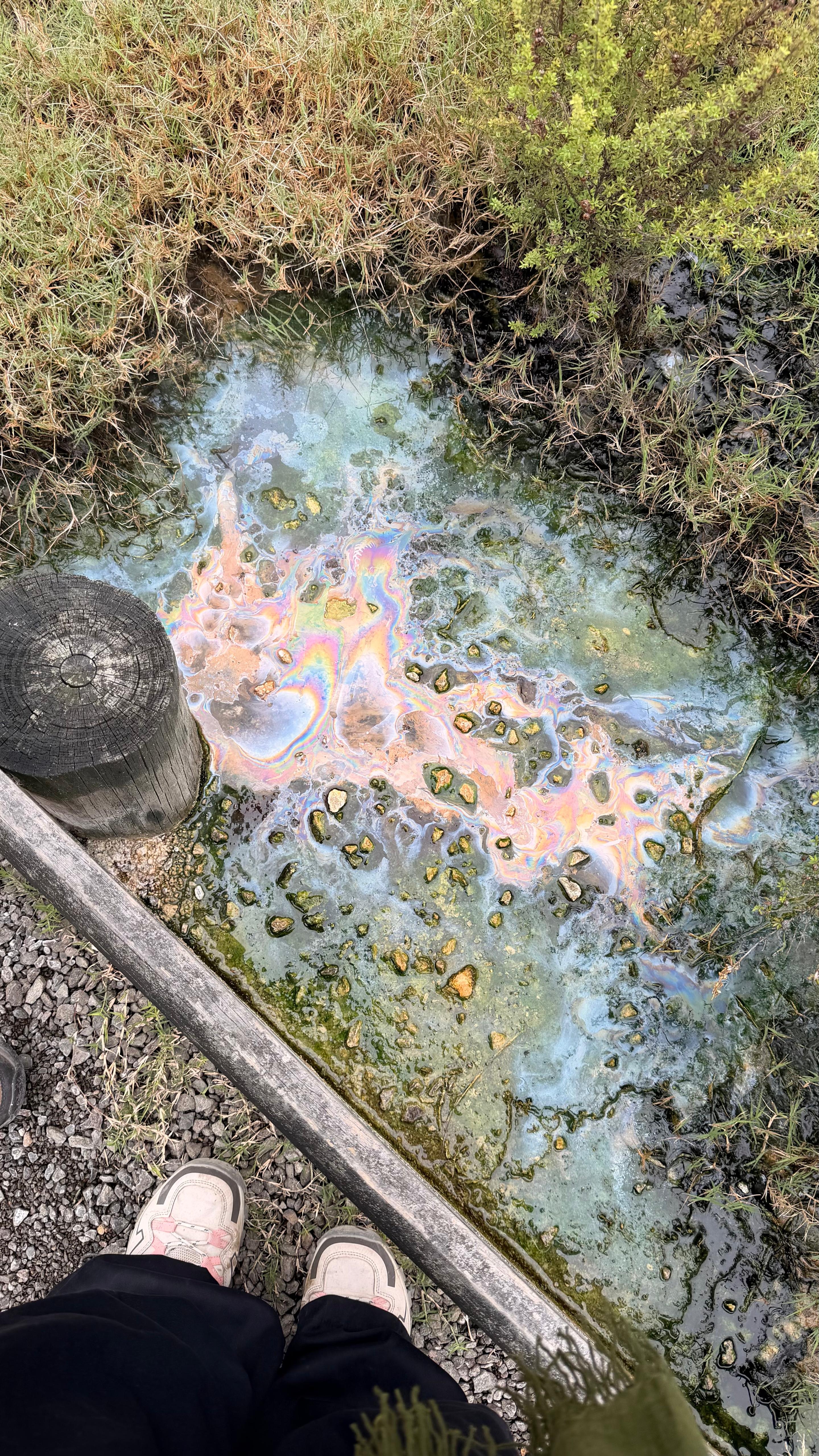 Wai-O-Tapu, Rotorua